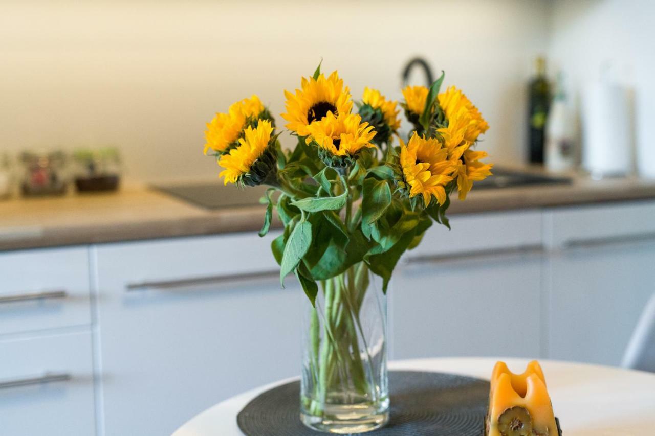 Sunflower Apartment Krakow Luaran gambar